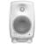 GENELEC 8020DWM